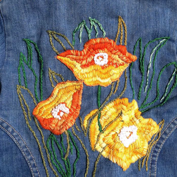 Denim Embroidered